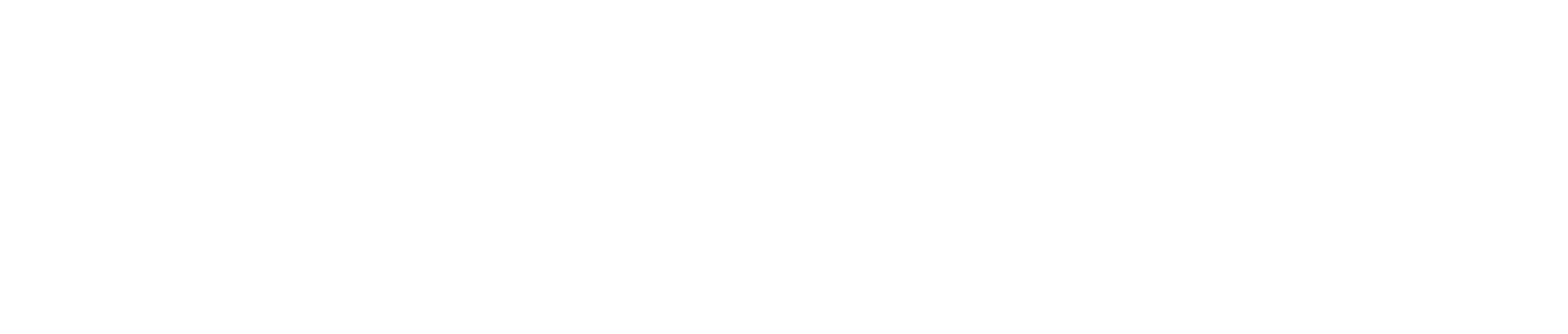 Nuro Capital